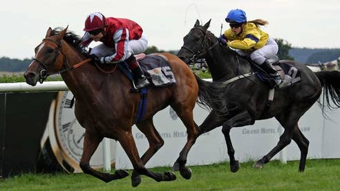 Horse Racing Live Stream & Minis - Watch Channel 7 Racing Coverage Free ...