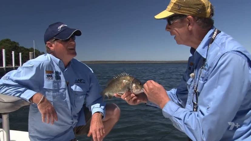 The AFN Fishing Show Season 10 Episode 2 Metung Bream & Exmouth