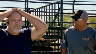 Watch Big Rig Bounty Hunters Online: Free Streaming & Catch Up TV in ...