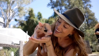 Watch Weekender Online: Free Streaming & Catch Up TV in Australia | 7plus