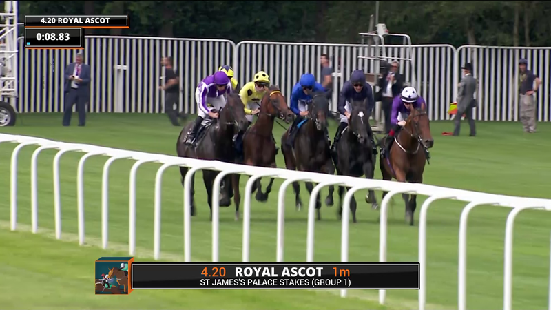 Horse Racing Live Stream & Minis - Watch Channel 7 Racing Coverage Free ...