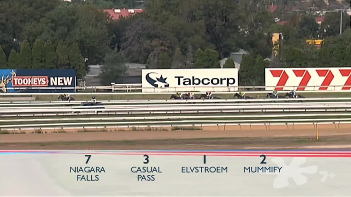 7 Plus Racing Watch Seven's Horse Racing Online: Free Streaming & Catch Up TV in ...