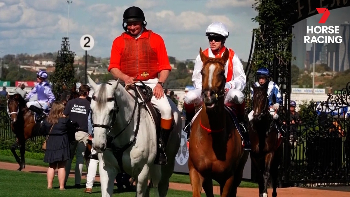 7 Plus Racing Watch Seven's Horse Racing Online: Free Streaming & Catch Up TV in ...