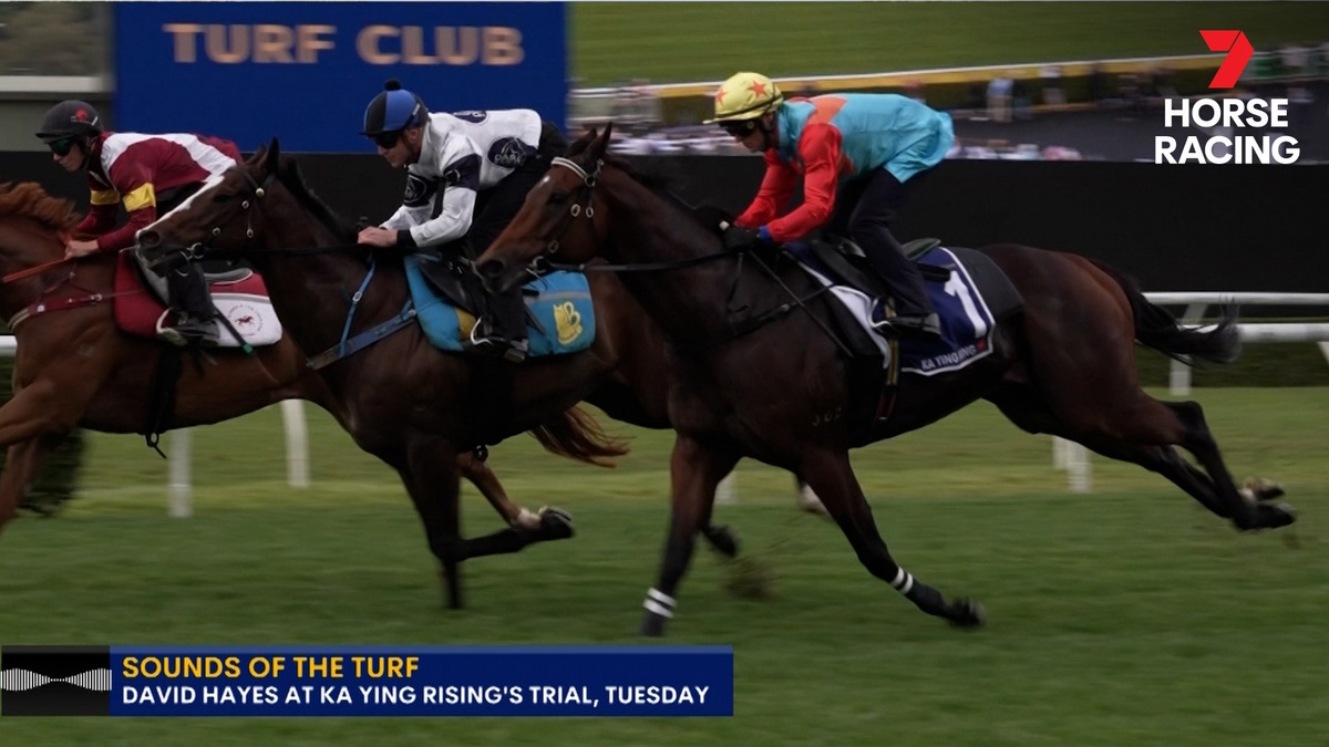 7 Plus Racing Watch Seven's Horse Racing Online: Free Streaming & Catch Up TV in ...